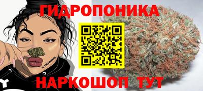 стафф Анапа