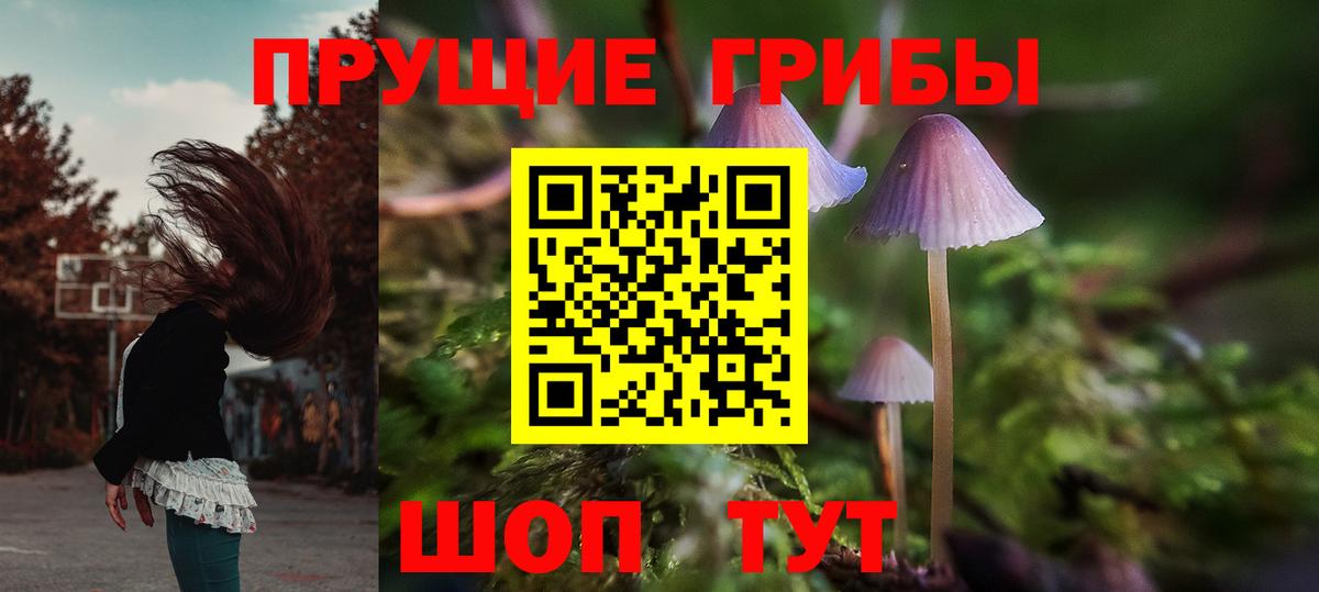Ивантеевка  Псилоцибиновые грибы Psilocybine cubensis  Вход с VPN  Галлюциногенные грибы Psilocybine cubensis 